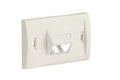 Panduit 2 Port Face Plate